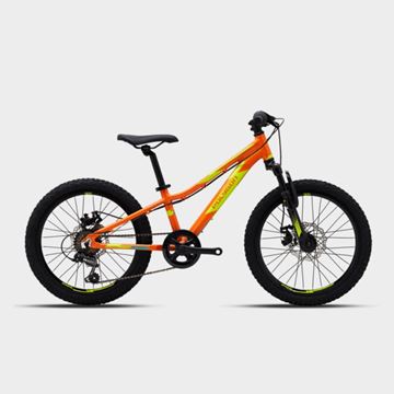 Picture of Polygon Relic 20 - Kids Mountain Bike